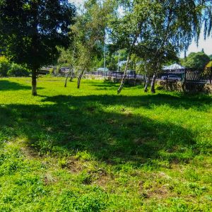 Территория в санатории Кавказ в городе Кисловодске - фотография